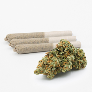 Eastcann – Super Lemon Haze 3 x 0.5g