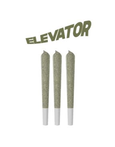 Elevator – Northern Lights 3×0.5g