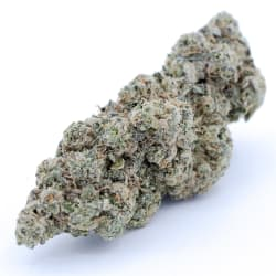 Eastcann - Tiger Cake 1g